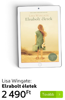 Lisa Wingate: Elrabolt életek