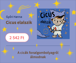 Magyar-francia kéziszótár | antikvár | bookline