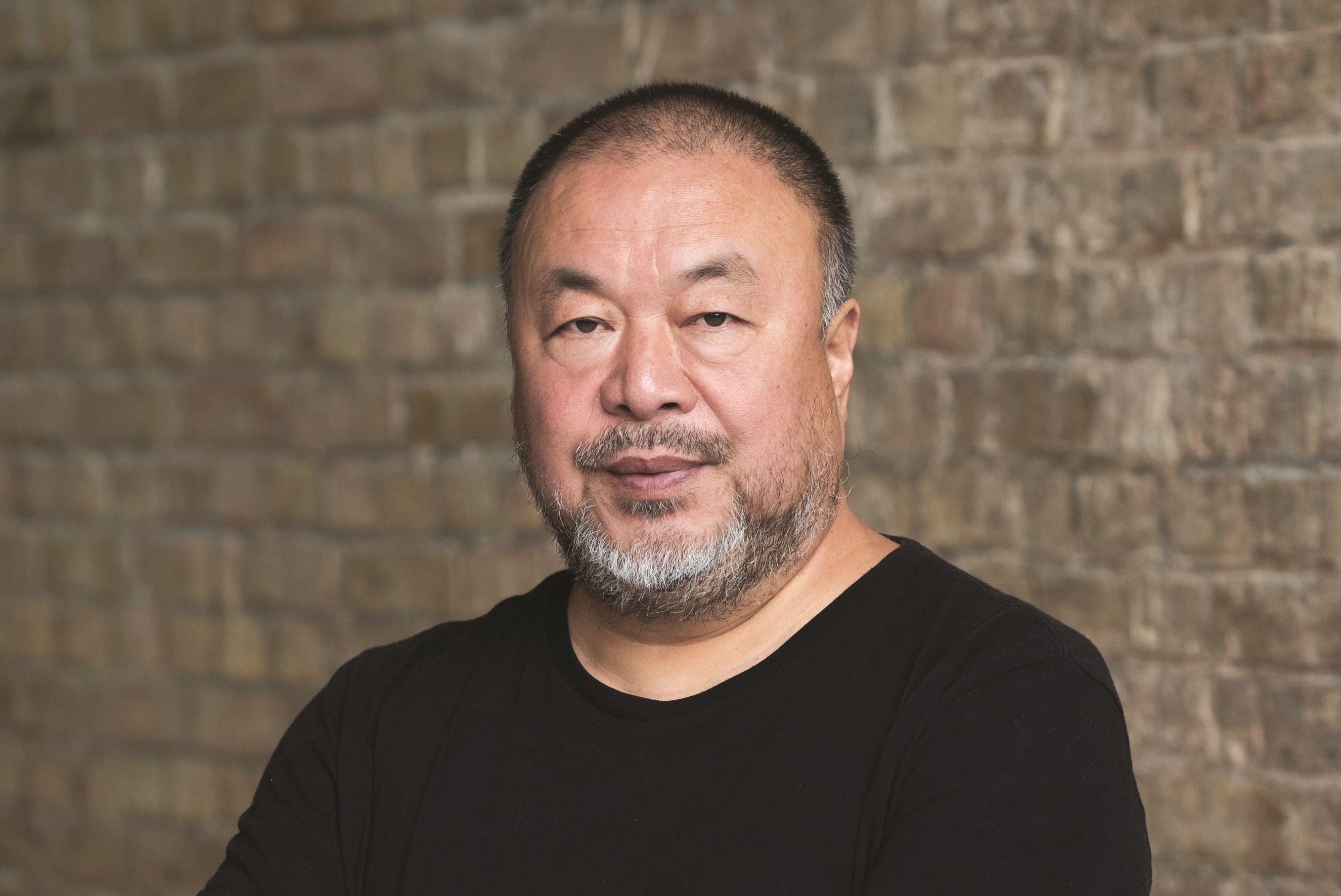 Ai Weiwei szerző