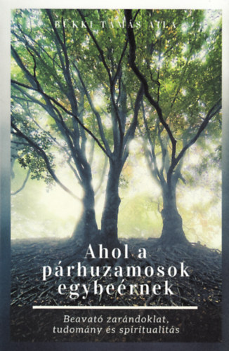 Ahol a párhuzamosok egybeérnek akciós termékkép 1