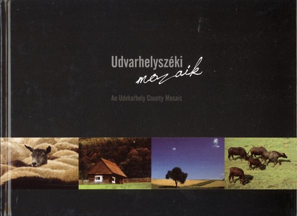 Udvarhelyszéki mozaik - An Udvarhely County Mosaic antikvár