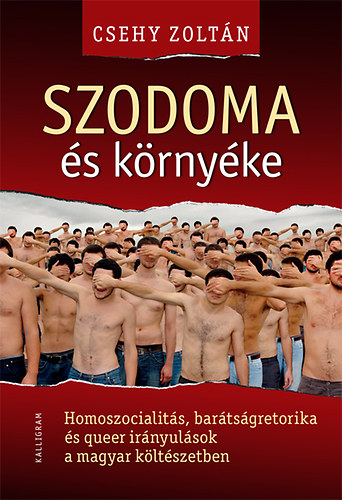Csehy Zoltán: Szodoma és környéke antikvár