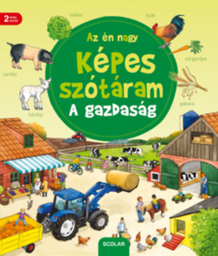Daniela Prusse: Az én nagy képes szótáram - A gazdaság antikvár