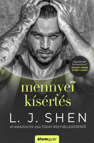L.J. Shen: Mennyei kísértés könyv