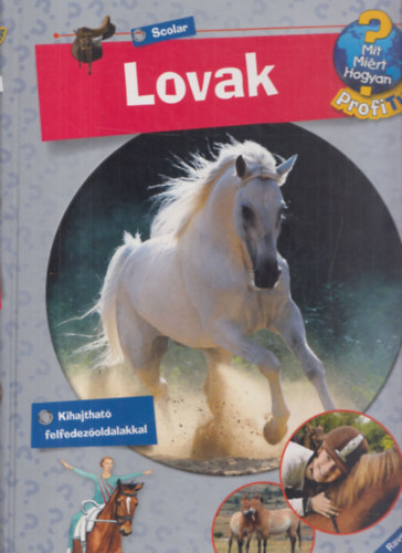 Andrea Schwendemann: Lovak és pónik (Mit? Miért? Hogyan?) - kihajtható felfedezőoldalakkal könyv