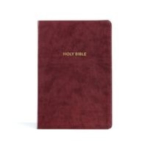 Holman Bible Publishers: KJV Rainbow Study Bible, Burgundy Leathertouch, Indexed idegen