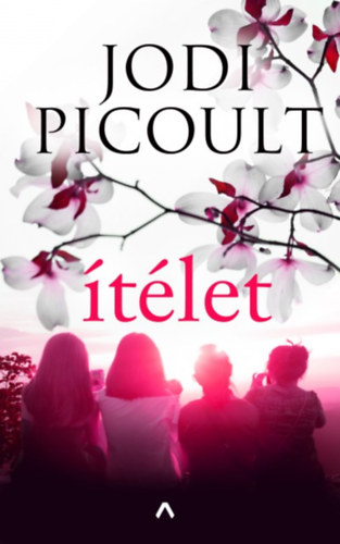 Jodi Picoult: Ítélet könyv