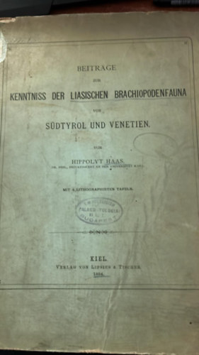 Beiträge zur kenntniss der liasischen brachiopoden fauna von südtirol und venetien antikvár