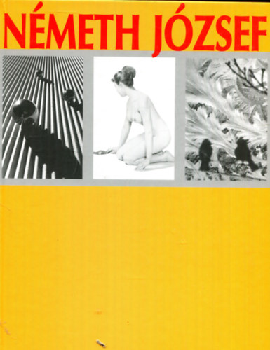 Dr. Németh József: Németh József képemlékei - Dedikált antikvár