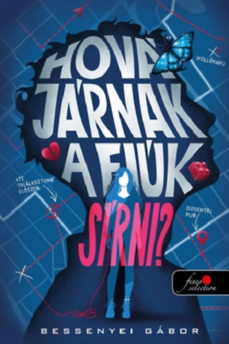 Bessenyei Gábor: Hová járnak a fiúk sírni? antikvár