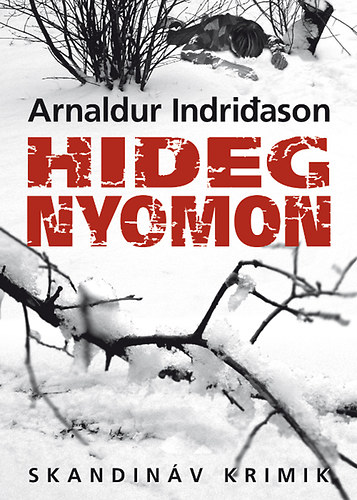 Arnaldur Indridason: Hideg nyomon könyv