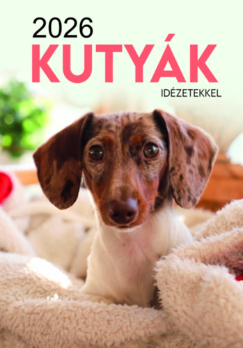 Kutyák falinaptár - 33x23 cm - 2026 naptár