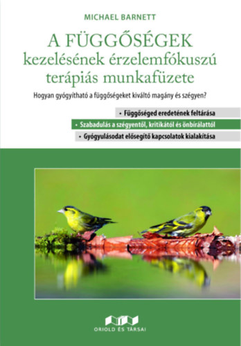A függőségek kezelésének érzelemfókuszú terápiás munkafüzete antikvár