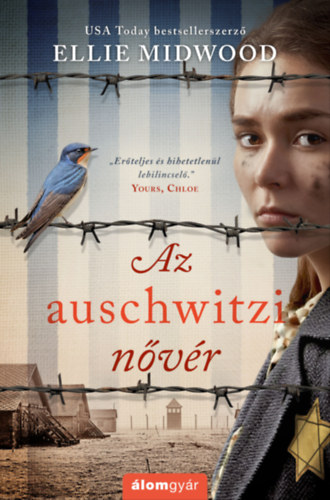 Ellie Midwood: Az auschwitzi nővér e-Könyv