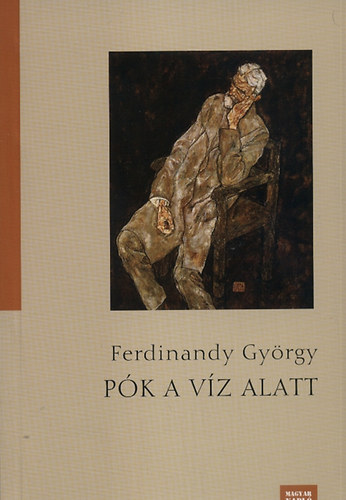 Ferdinandy György: Pók a víz alatt antikvár
