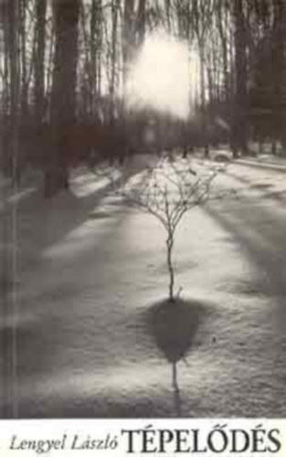 Lengyel László: Tépelődés (Magyarország felfedezése) antikvár