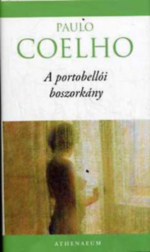 Paulo Coelho: A portobellói boszorkány antikvár
