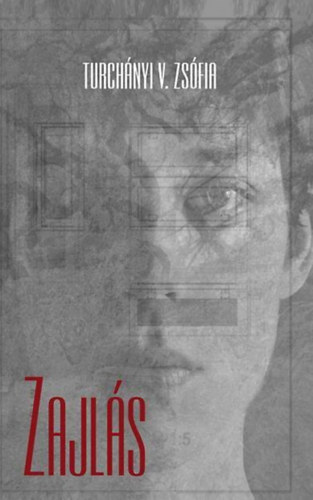 Turchányi V. Zsófia: Zajlás antikvár