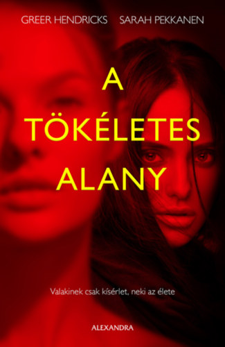 Greer Hendricks, Sarah Pekkanen: A tökéletes alany könyv