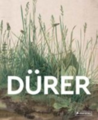 Heine, Florian: Masters of Art: Dürer idegen