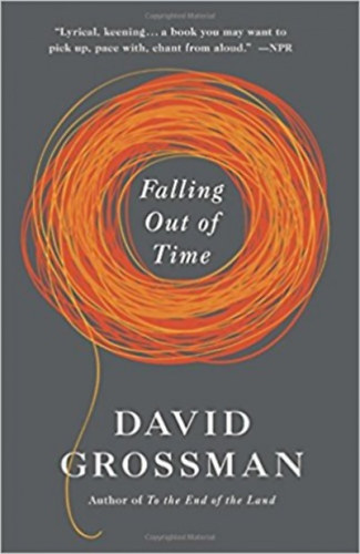 David Grossman: Falling Out of Time idegen