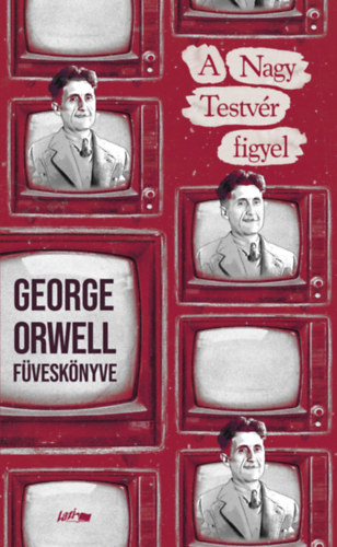 Orwell George: A Nagy Testvér figyel könyv