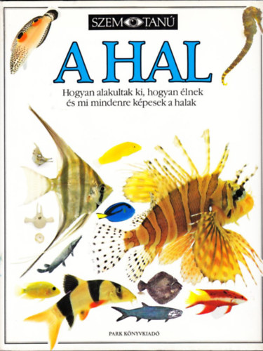 Parker Steve, Szerző Steve Parker Szerkesztő Garai Attila Fordító Korsós Zoltán Lektor Vida Antal: A hal Hogyan alakultak ki, hogyan élnek és mi mindenre képesek a halak antikvár
