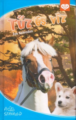 Zoe Kelvedon: Tűz és víz - Penny Girl antikvár