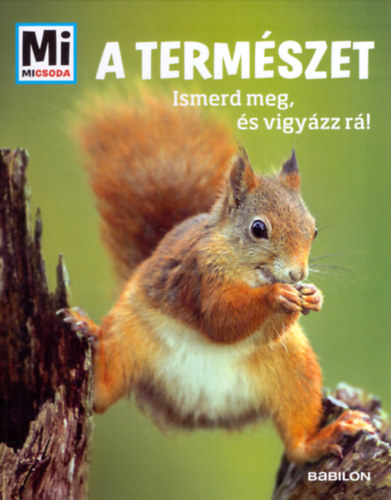 Anette Hackbarth: A természet - Ismerd meg és vigyázz rá! könyv