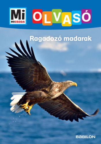 Christina Braun: Ragadozó madarak könyv