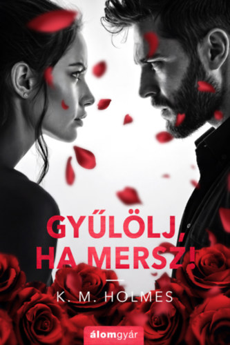 K. M. Holmes: Gyűlölj, ha mersz! e-Könyv