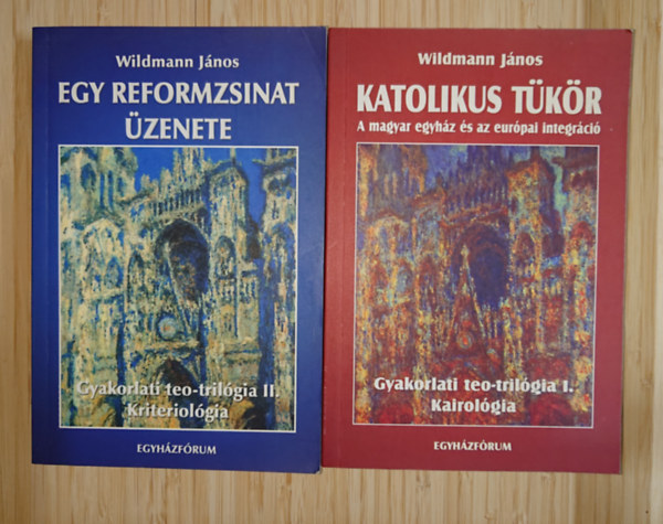 Wildmann János: 2 kötet Wildmann Jánostól: Egy refromzsinat üzenete, Katolikus tükör - A magyar egyház és az európai integráció antikvár