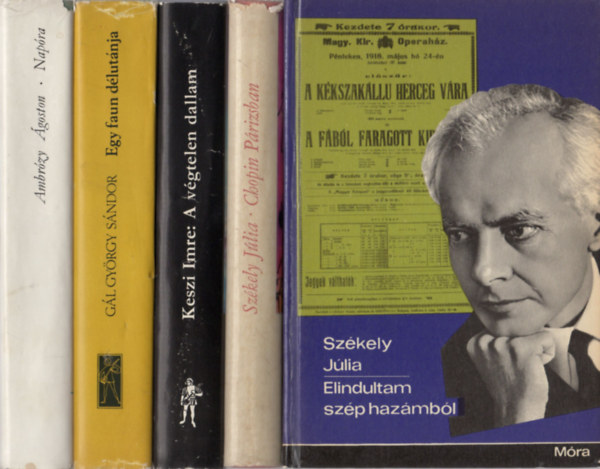 Ambrózy Ágoston, Gál György Sándor, Keszi Imre, Székely Júlia: 5 db zenével kapcsolatos mű: Napóra (Beethoven - Bettina - Goethe) + Egy faun délutánja (Claude Debussy életregénye) + A végtelen dallam (Wagner életregénye) + Chopin Párizsban (A művész életének regénye) + Elindultam szép hazámból (Bartók Béla élete) könyv