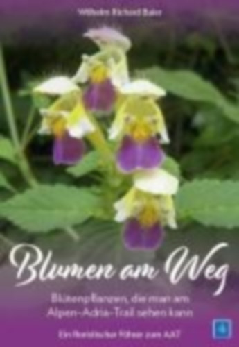 Baier, Wilhelm Richard: Blumen am Weg idegen