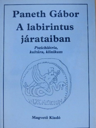 Szerző Paneth Gábor Szerkesztő Zsámboki Mária: A labirintus járataiban  -  Pszichiátria, kultúra, klinikum - Szerkesztő: Zsámboki Mária antikvár