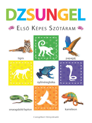 Dzsungel - Első képes szótáram akciós termékkép 1