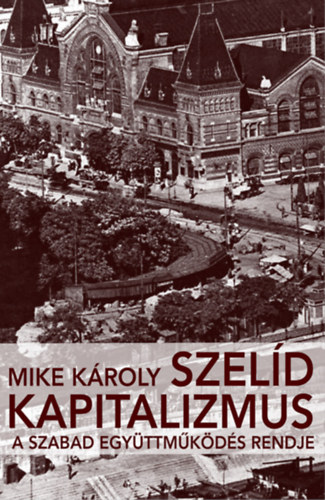 Mike Károly: Szelíd kapitalizmus könyv
