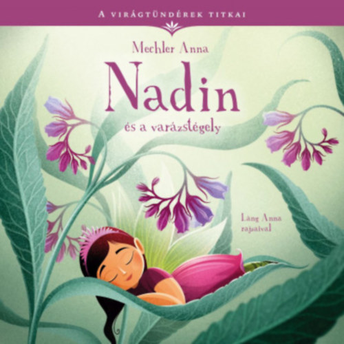 Nadin és a varázstégely akciós termékkép 1