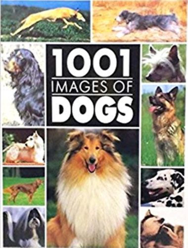1001 images of dogs antikvár