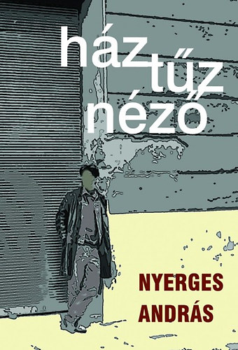 Nyerges András: Háztűznéző könyv