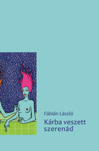 Fábián László: Kárba veszett szerenád könyv