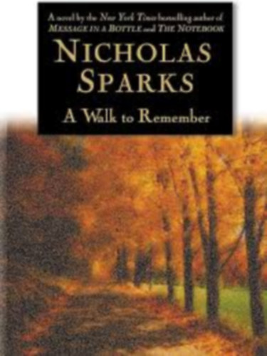 Nicholas Sparks: A Walk To Remember antikvár
