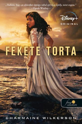 Fekete torta akciós termékkép 1