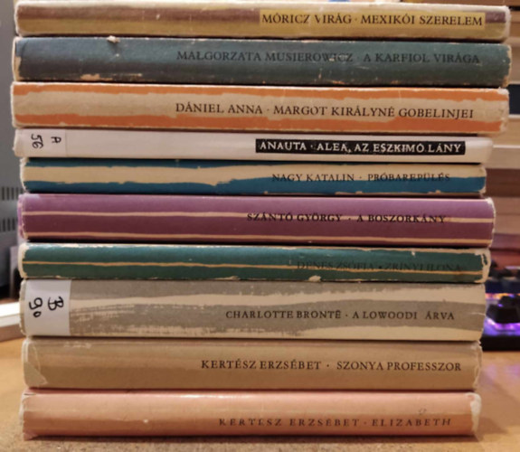 Kertész Erzsébet, Charlotte Brontë, Dénes Zsófia, Szántó György, Nagy Katalin, Anauta, Dániel Anna, Malgorzata Musierowicz, Móricz Virág: 10 db csíkos lányregény: Elizabeth; Szonya professzor; A lowoodi árva; Zrínyi Ilona; A boszorkány; Próbarepülés; Alea, az eszkimó lány; Margot királyné gobelinjei; A karfiol virága; Mexikói szerelem antikvár