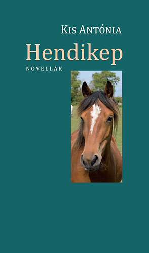 Hendikep akciós termékkép 1