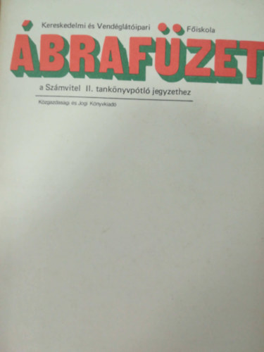 Ábrafüzet a Számvitel II. tankönyvpótló jegyzethez antikvár