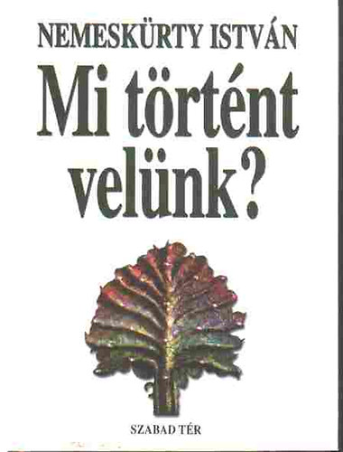 Nemeskürty István: Mi történt velünk? antikvár