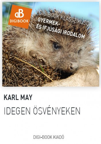 Karl May: Idegen ösvényeken e-Könyv
