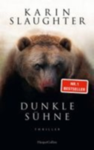 Slaughter, Karin: Dunkle Sühne idegen