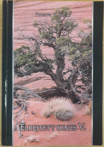 Ficsor Károly: Elrejtett kincs V. antikvár